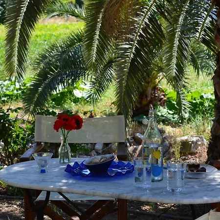 Troumpas Family & Leonídion