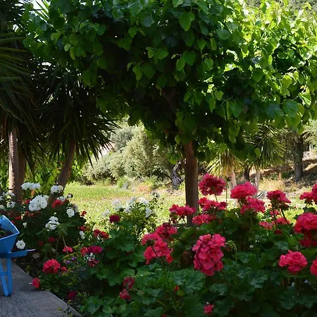 Troumpas Family & Leonídion