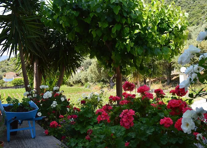 Troumpas Family & 利昂尼迪翁